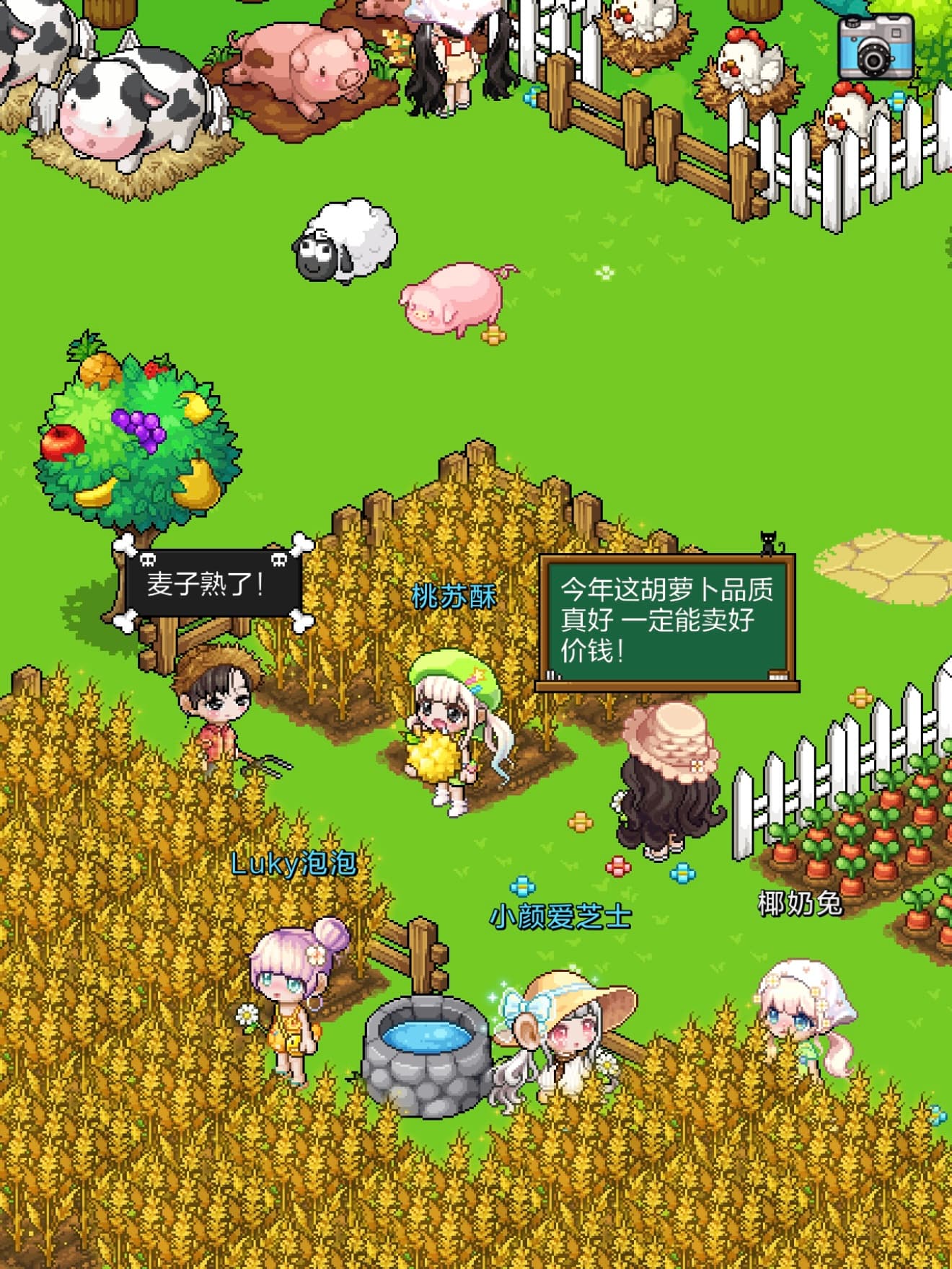 宅时光休闲种植玩家截图